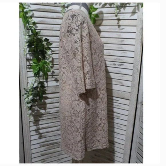 FOSSIL Champagne Blush Pink Lace Shift Dress (1309)🔮 - Picture 3 of 9
